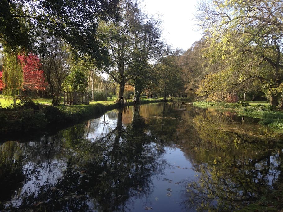 River View