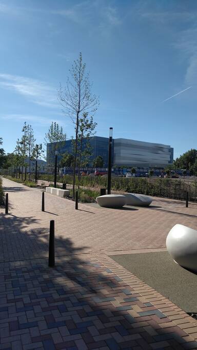 FINA Duna Arena