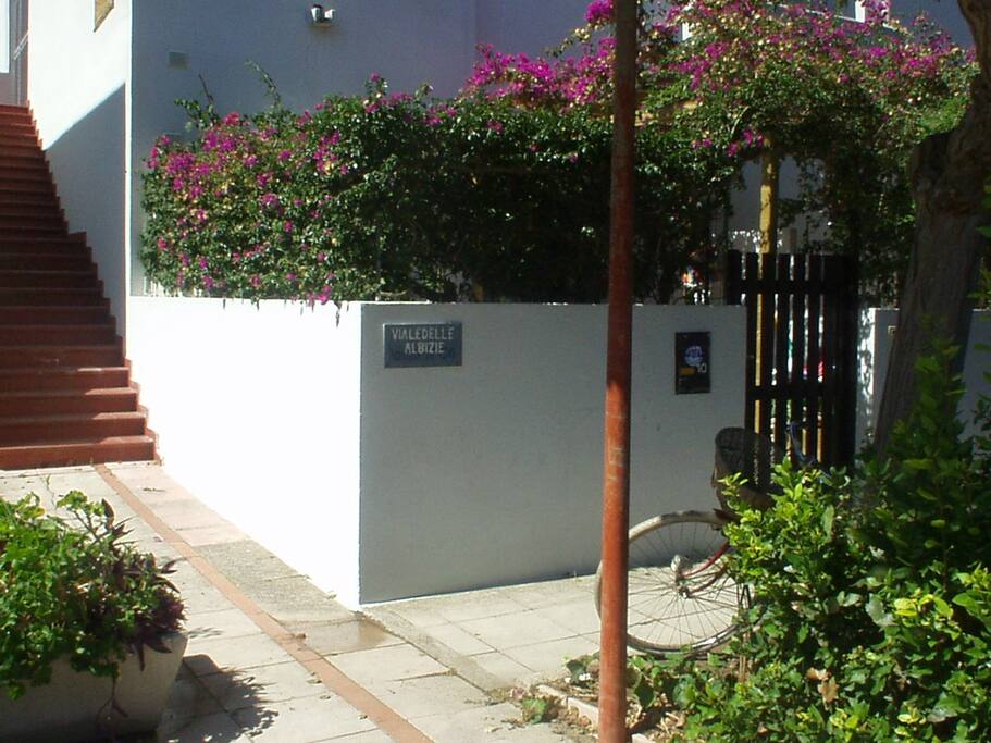 Questo è il giardino davanti visto dalla strada