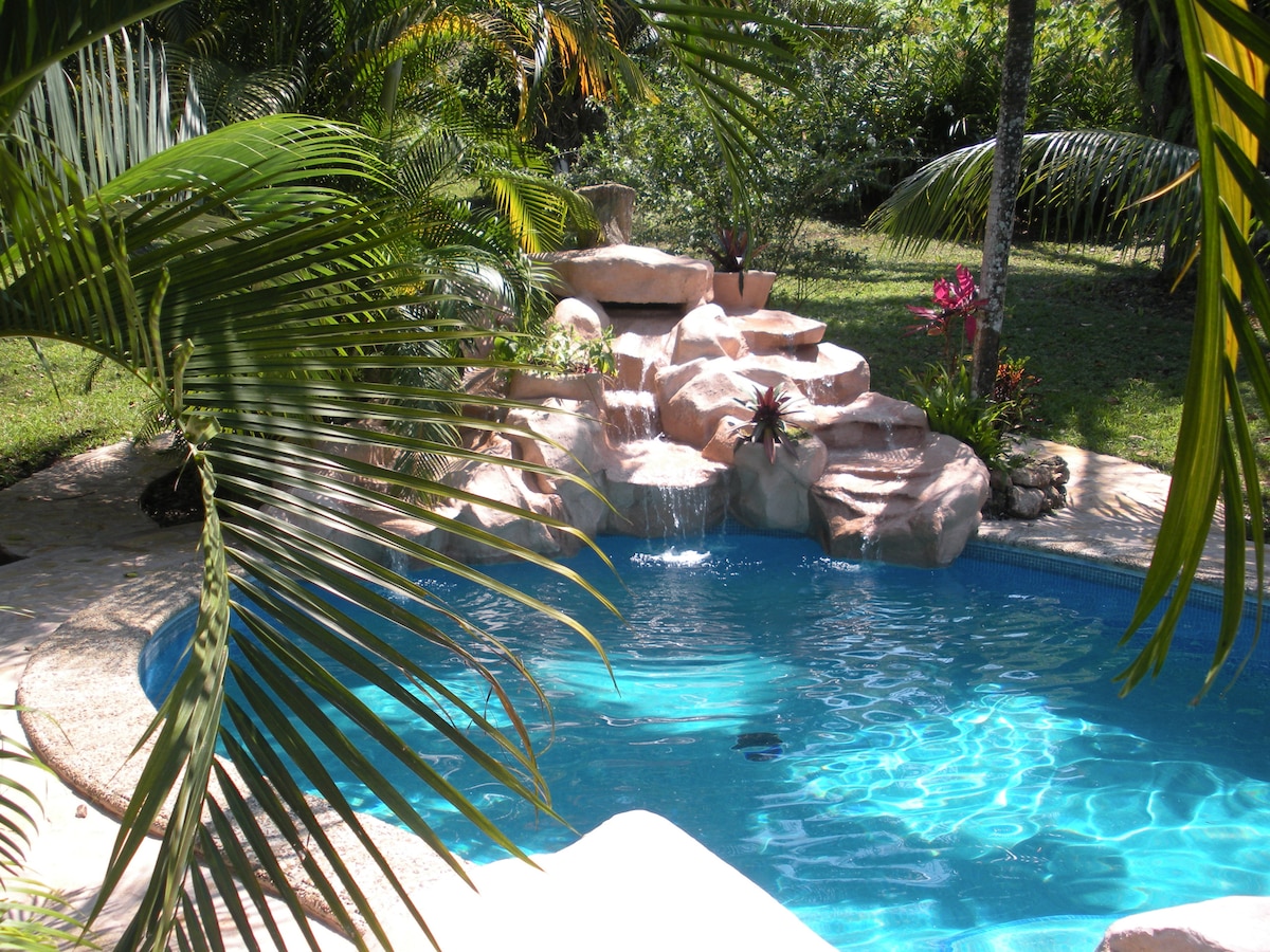A family-sized swimming pool is surrounded by lush greenery, with a waterfall feature flowing gently over rock formations. Tropical plants add color to the landscape, and sunlight reflects off the water's surface, creating a serene and inviting atmosphere.
