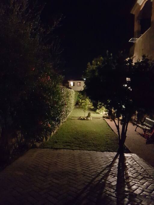 Parte del giardino fotografato di notte
