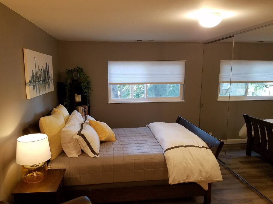 Large mirrored closet includes room for storage, dresser, and TV