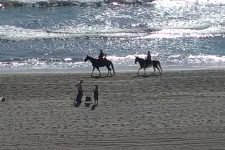 "OCEANFRONT" resort Myrtle Beach private bed/bath.