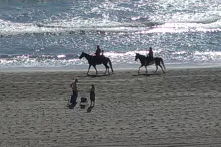 "Oceanfront" resort Myrtle Beach private bed/bath.