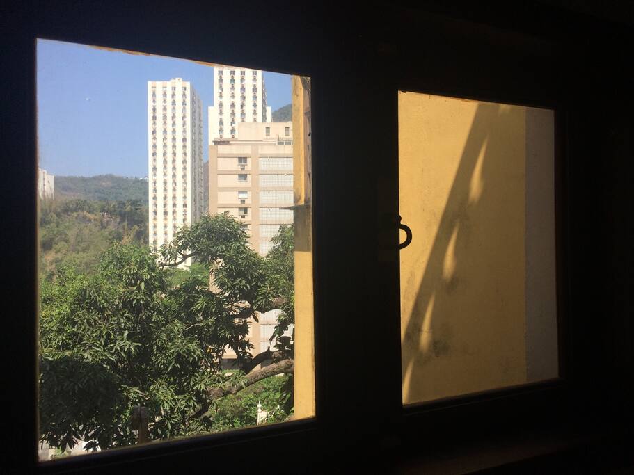 Vista para o verde