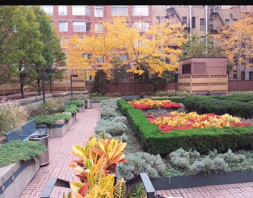 Building's park