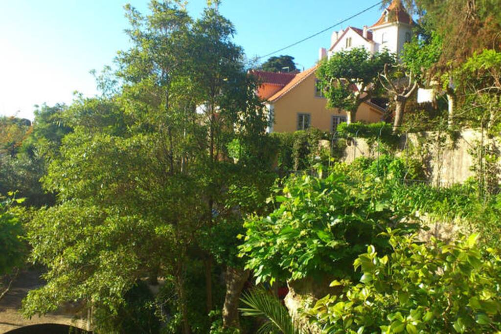 View from the terrace