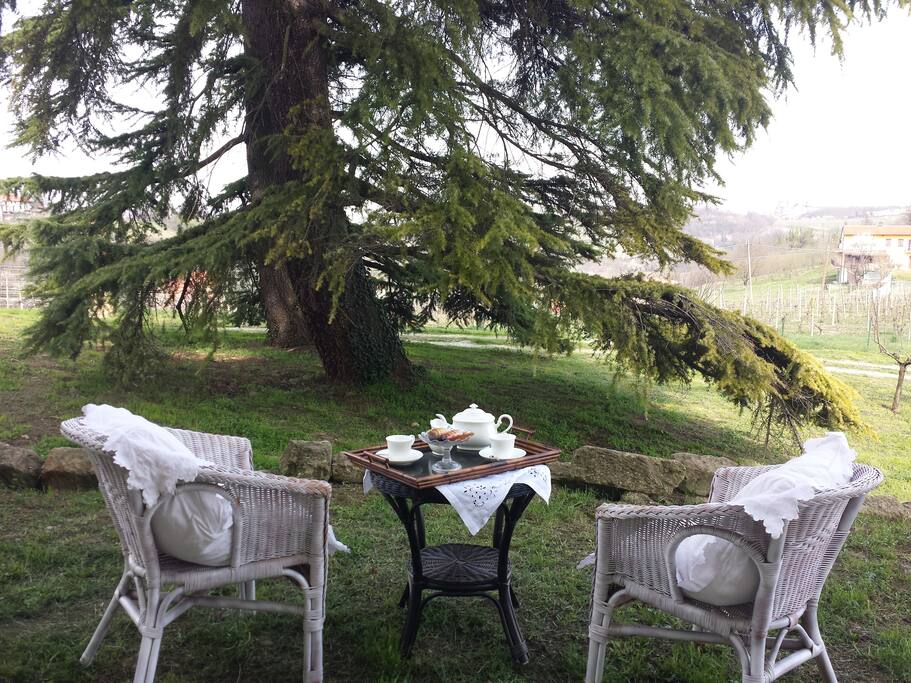 Colazione in giardino