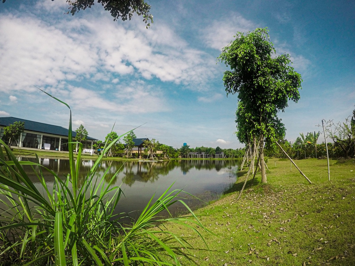 A serene pond reflects the clear blue sky, framed by lush green grass and trees. A spacious outdoor area is visible, with the farm's modern structures seen in the background, offering a peaceful and natural setting.
