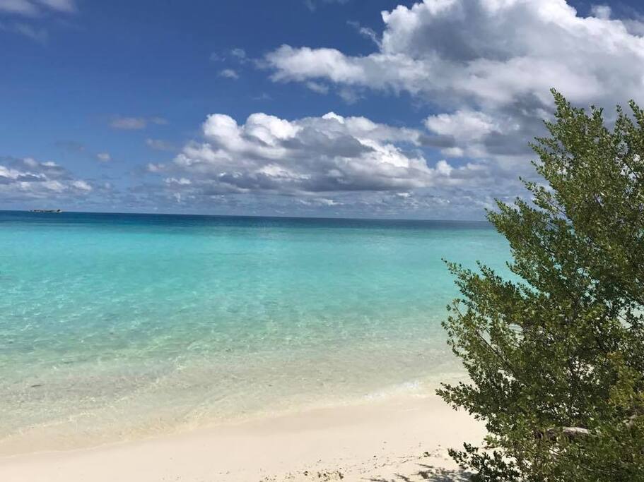 Chicken island