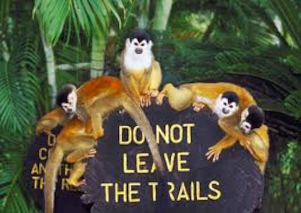 Soooo many exciting things to see and trails to take.
You can book during your stay with any local adventure service.