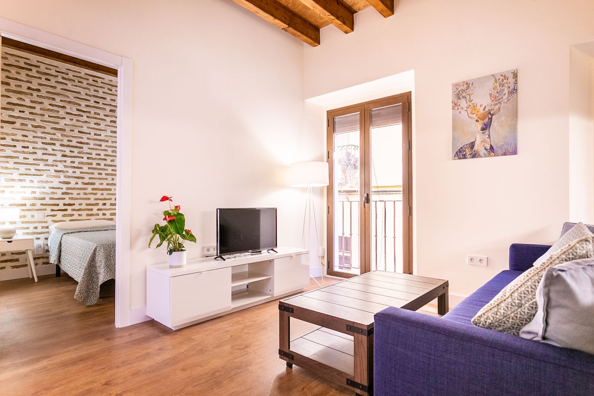 Top performing Airbnb: Beautiful duplex in the Old Town in Sevilla