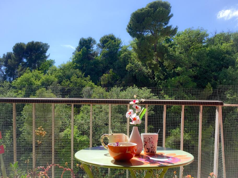 La terrasse où vous pourrez prendre votre petit déjeuner au son des cigales :)
