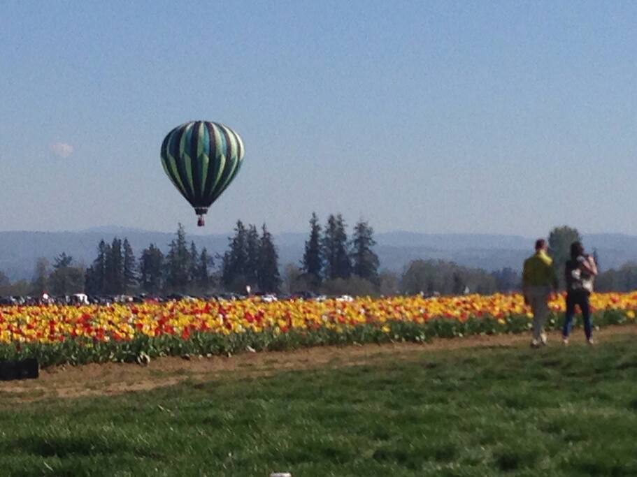 Many local activities and festivals
