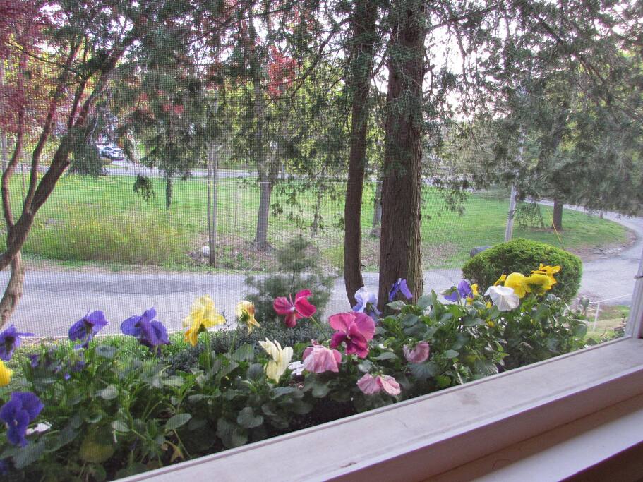 Pocket park located in front of house