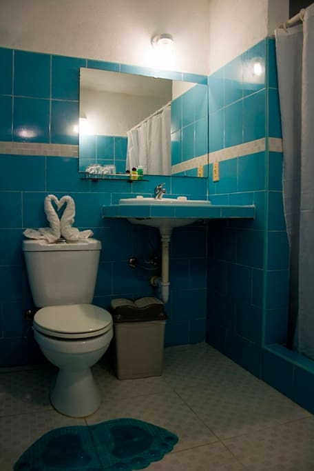Private bathroom in the bedroom
