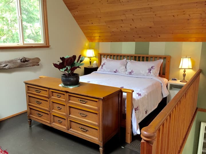 Top 11 PetFriendly Cabins In Tofino, Canada Updated 2024 Trip101