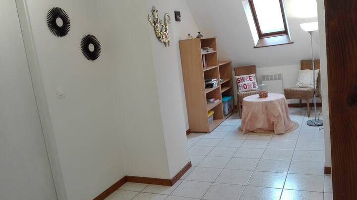 Gîte Jania 10 Personnes Breitenbach - Alsacia