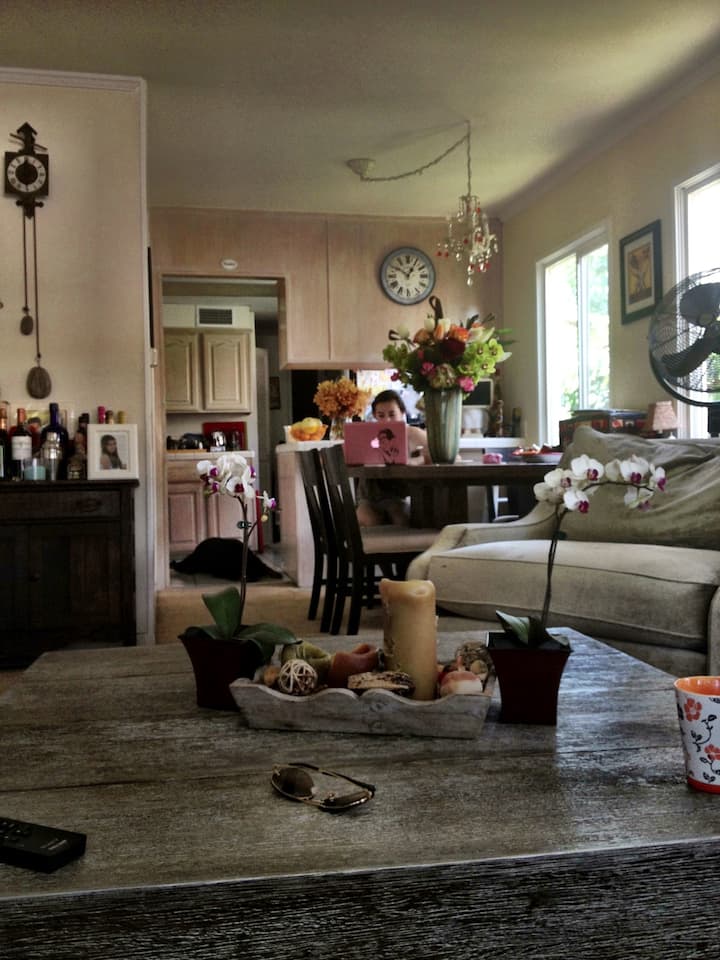 ממש בחלק האחורי של המטבח נמצא חדר האורחים, המחובר לחצר האחורית.