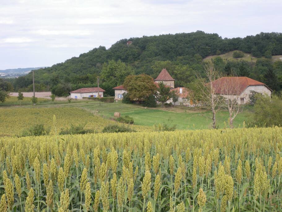 Vue depuis la D268 , le gîte est à gauche