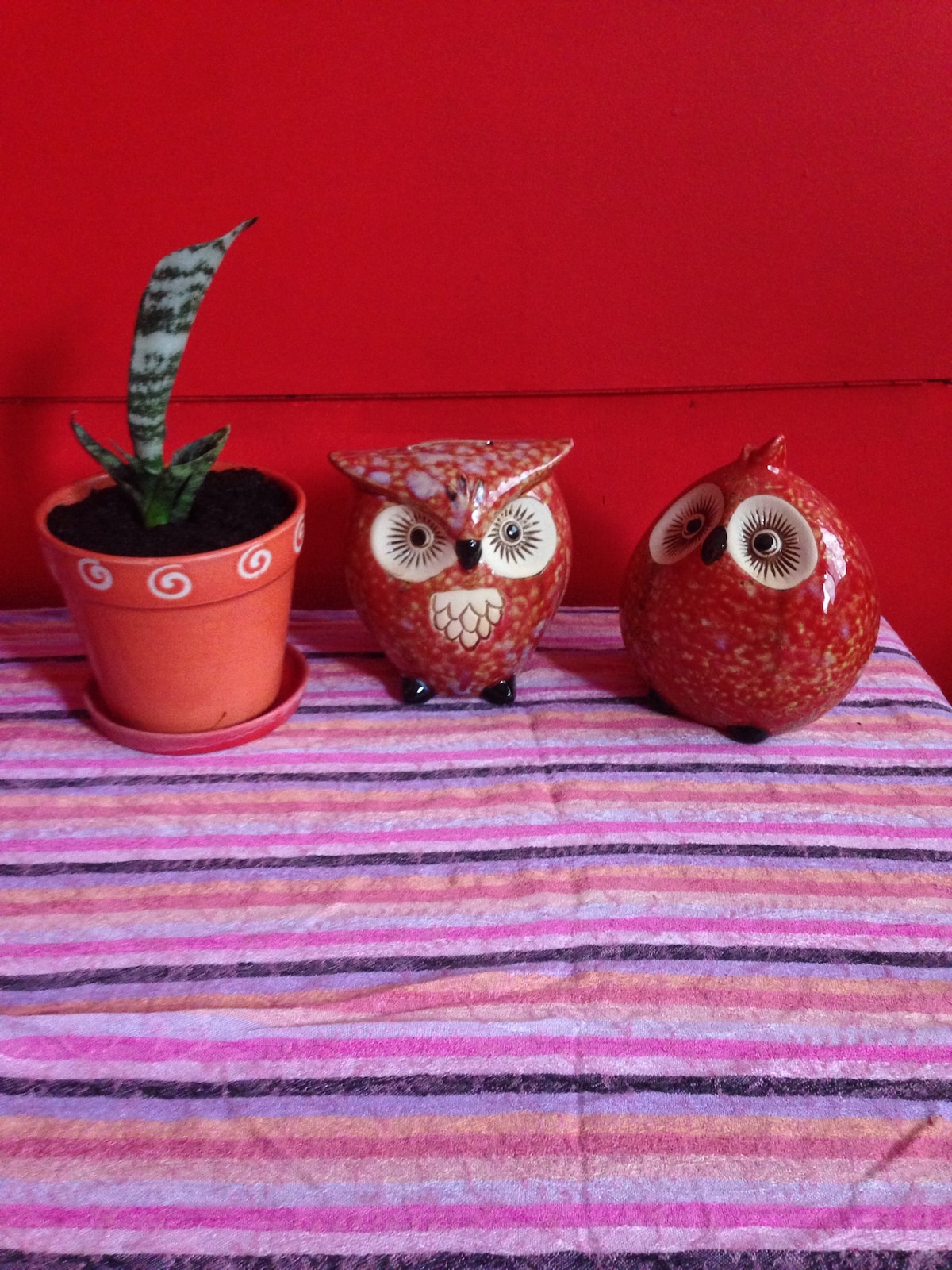 A colorful arrangement features a potted plant with long green leaves alongside two decorative owl figurines. The background is a vibrant red, and a striped fabric serves as a base, displaying shades of pink and white.