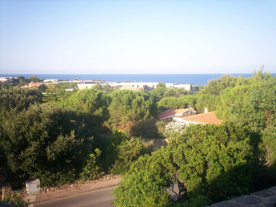 vista