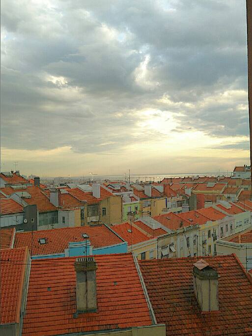 View from sun room