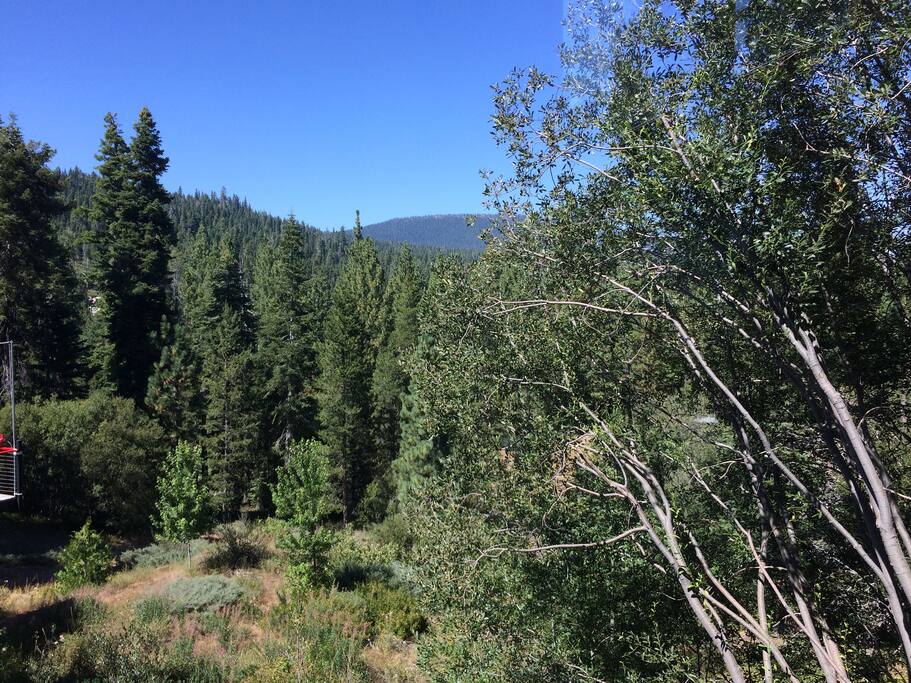 Panorama view from room