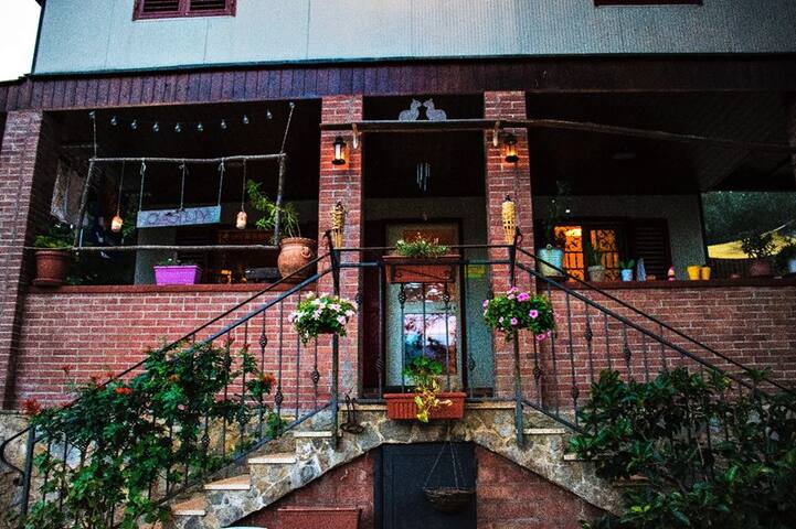 Oasi Lega Internazionale Vigilanza  - CAMERA 1