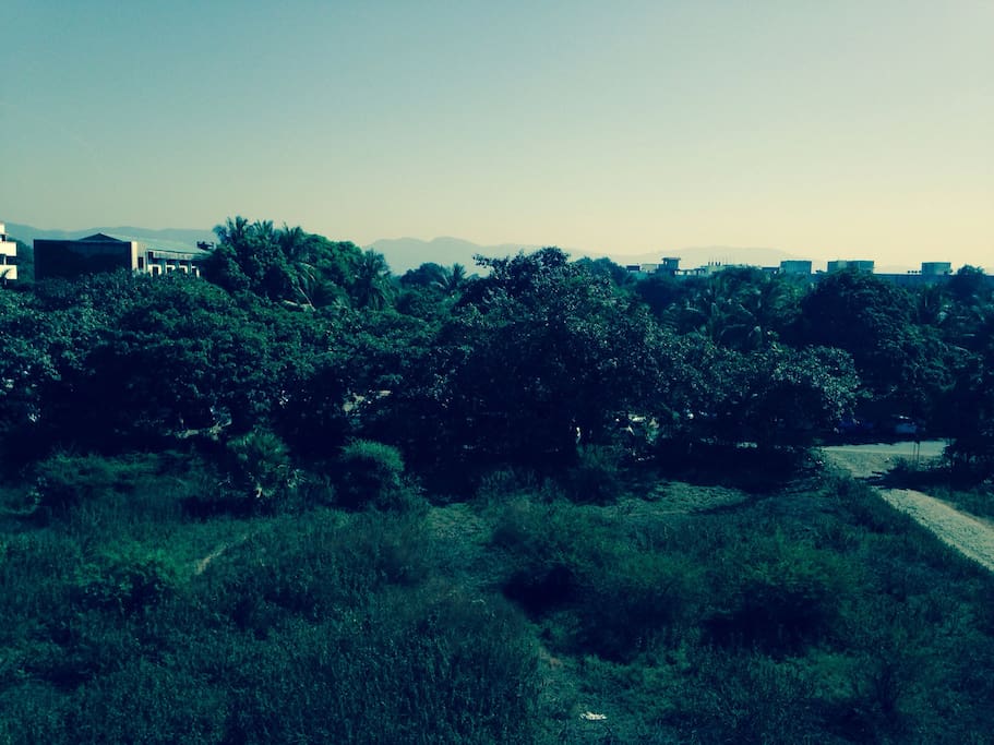 View from the window