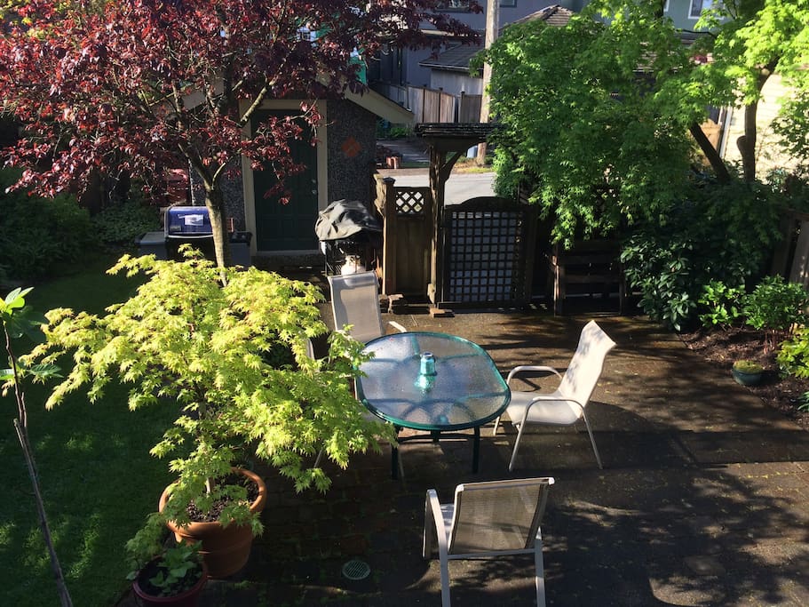 Our back yard in summer