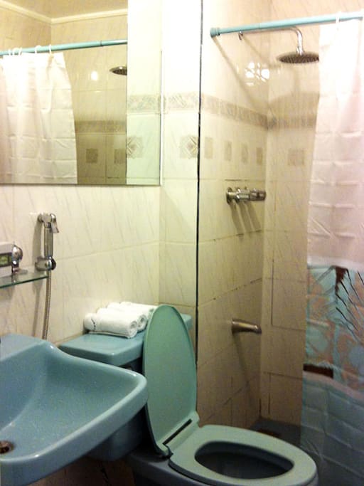 Hot and cold shower