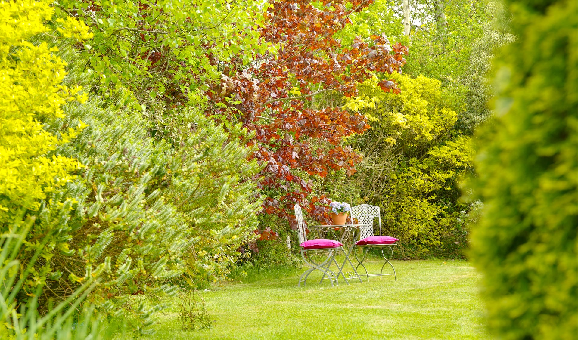 Courtyard Cottages — photo 4