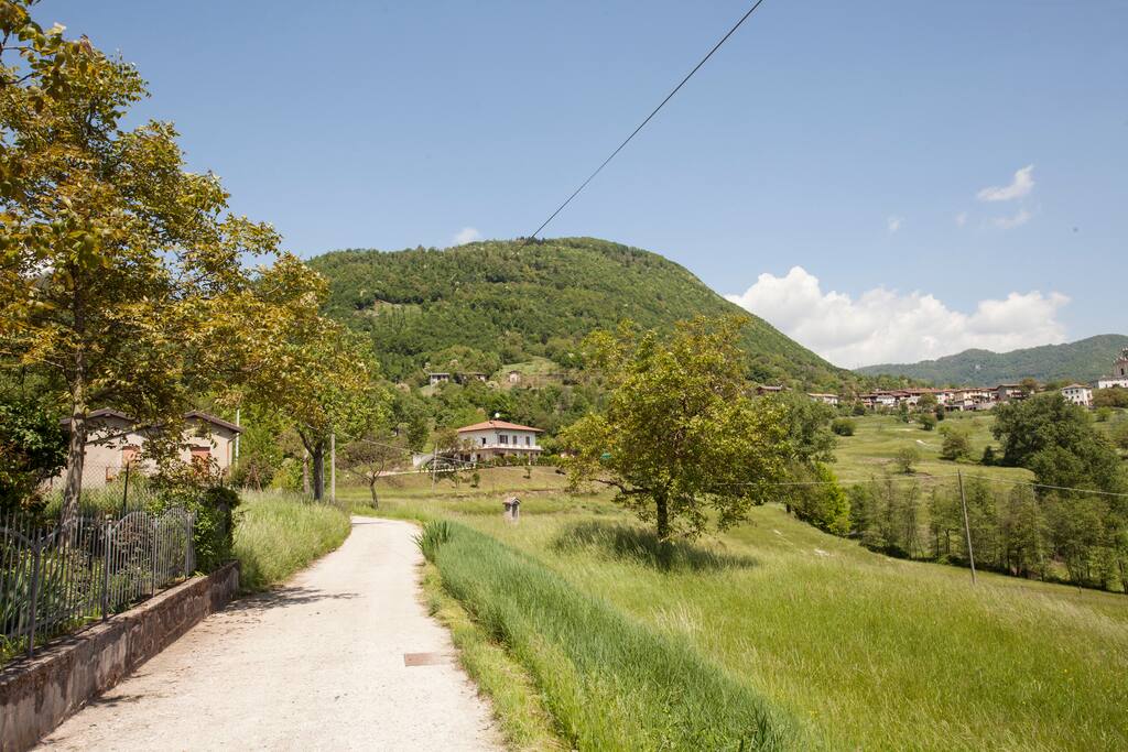 Country road