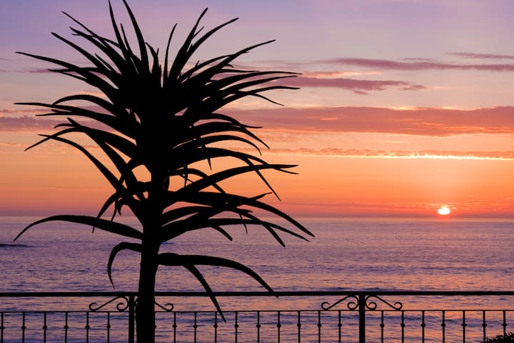 Alexander Beach House