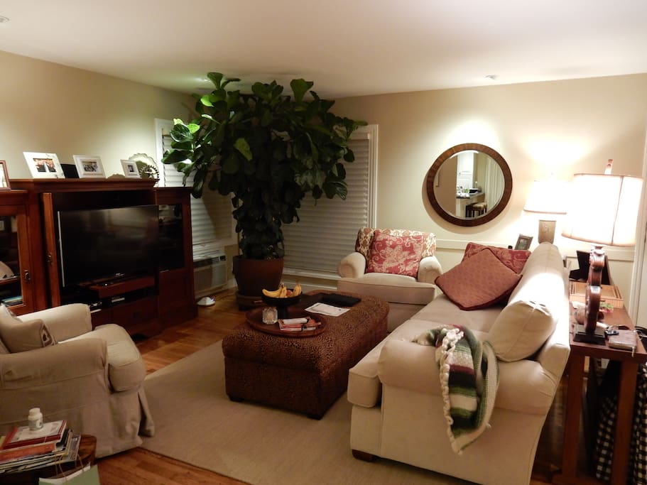 Comfortable living room