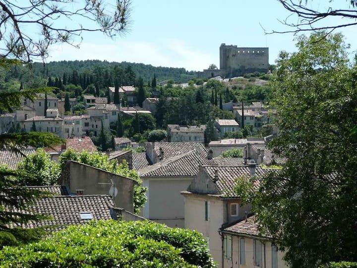 House in the heart of Vaison