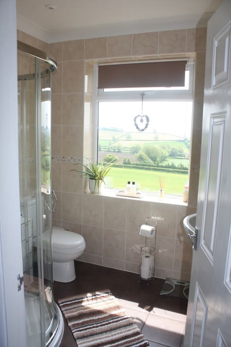 Your bathroom with a view