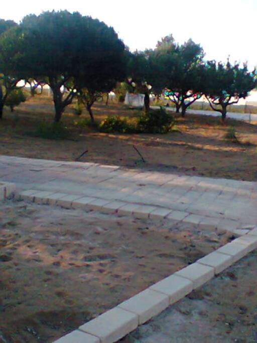 Giardino esterno.