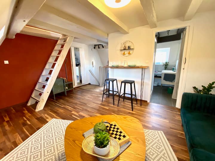 Charmant Duplex Avec Grand Rooftop En Hyper Centre - Strasbourg