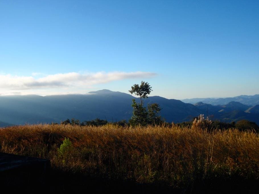 vista do alto da fazenda