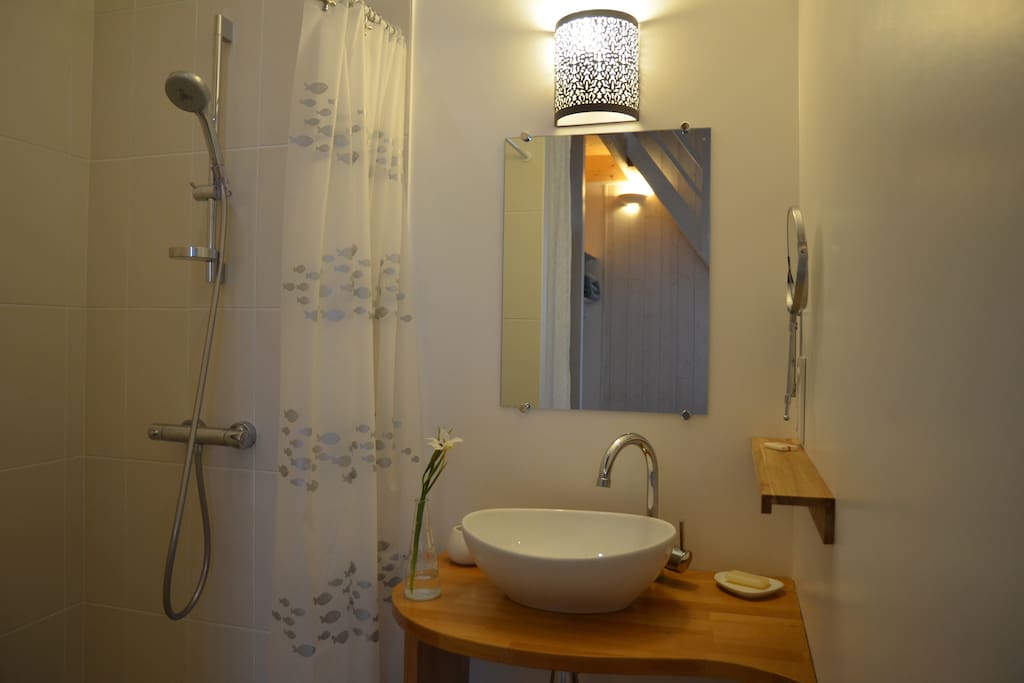 Dans la chambre, vasque et grande douche à l'italienne.