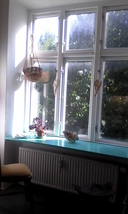 My favourite place :) in the window