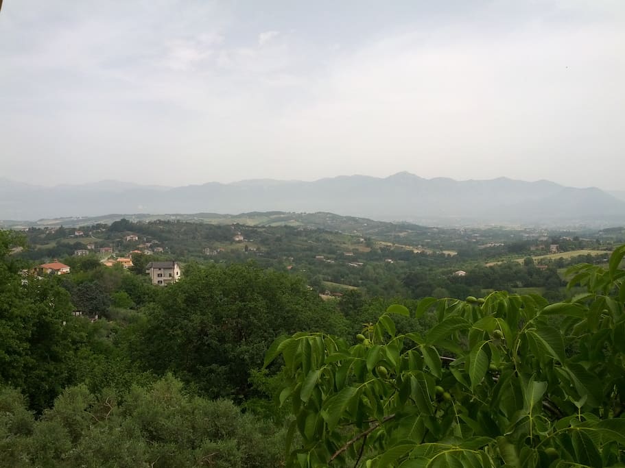 Panorama