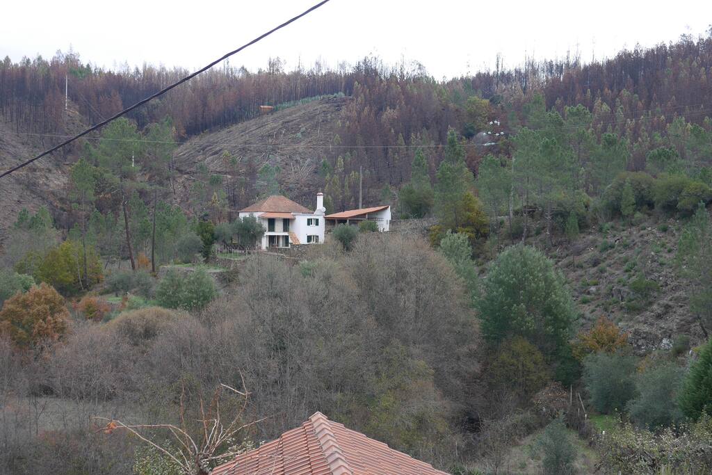 general view