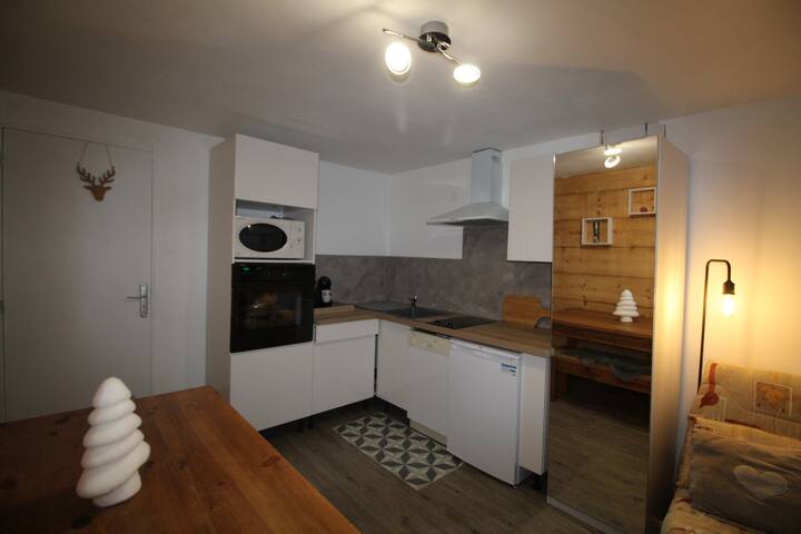 Charming 2 rooms on ground floor Les Carroz