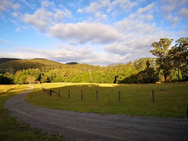 OCT Forest lodge ECO retreat homestead 20 people gallery image 4