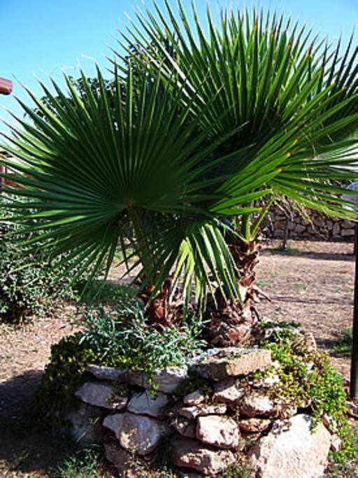 esterno