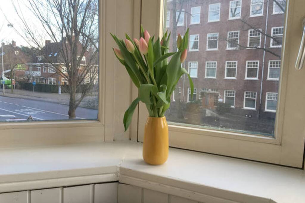 View on Beethovenstraat