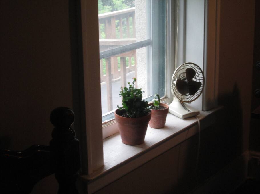 Two windows in this room provide great view of side and backyard garden which is open for all guests.